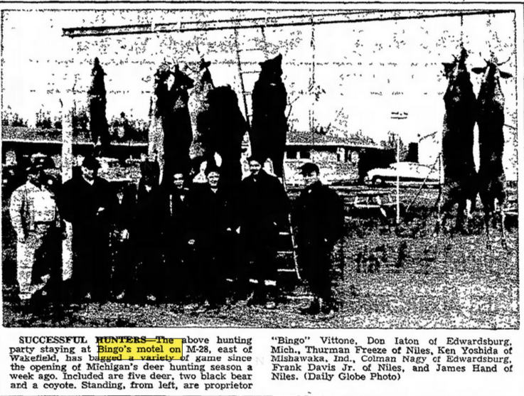 Bingos Motel - 1966 Article (newer photo)